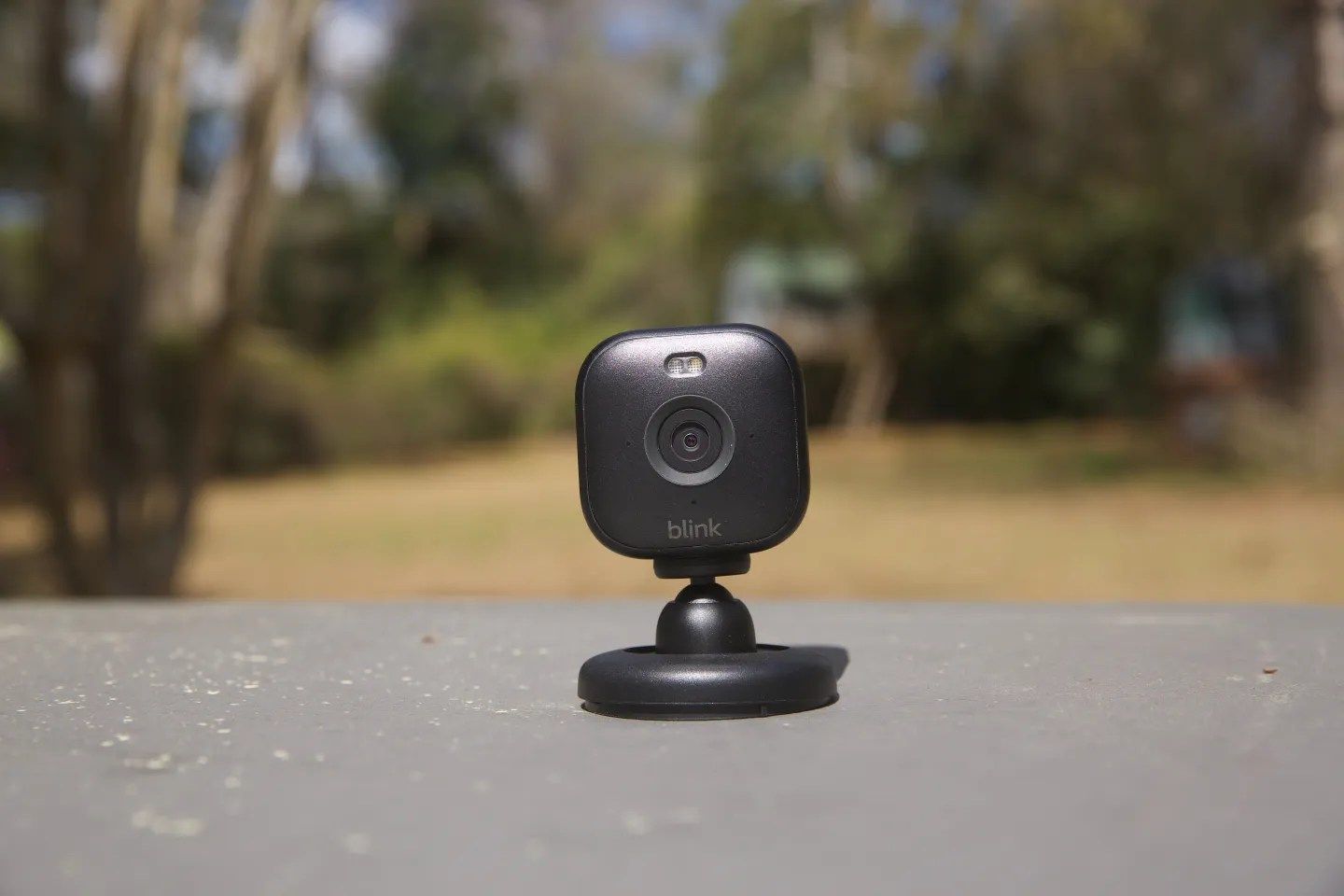 Amazon's Blink app crashes nationwide with 503 errors