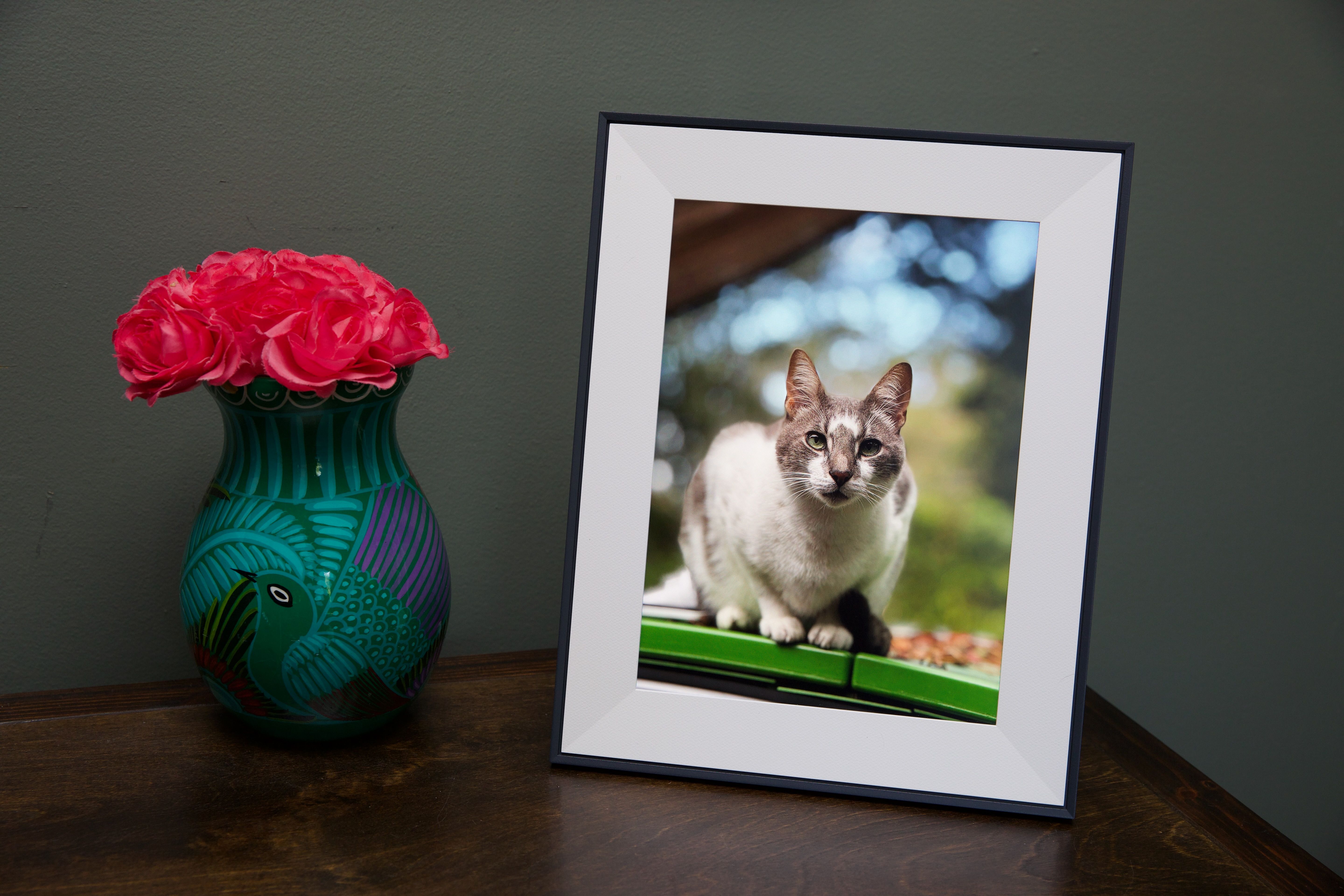Aura's Premium Digital Photo Frame Hits $199 for Black Friday