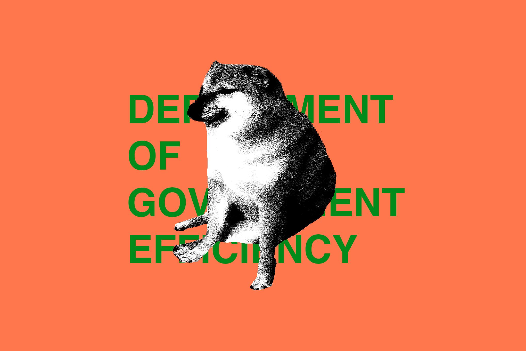 DOGE Dissolves After Musk Exit Triggers Government Chaos