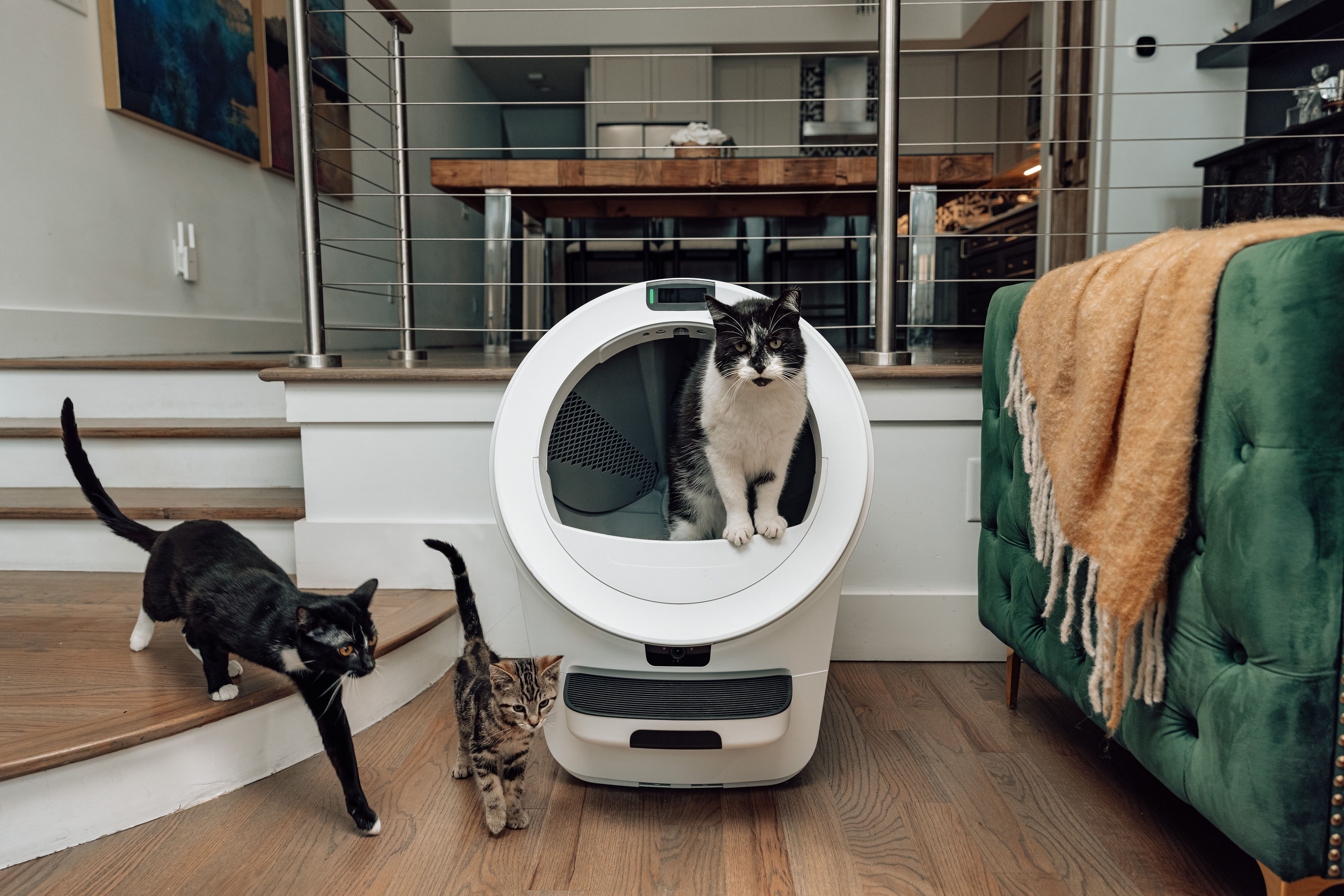 Whisker's $899 Litter-Robot Uses AI to Watch Your Cat Poop